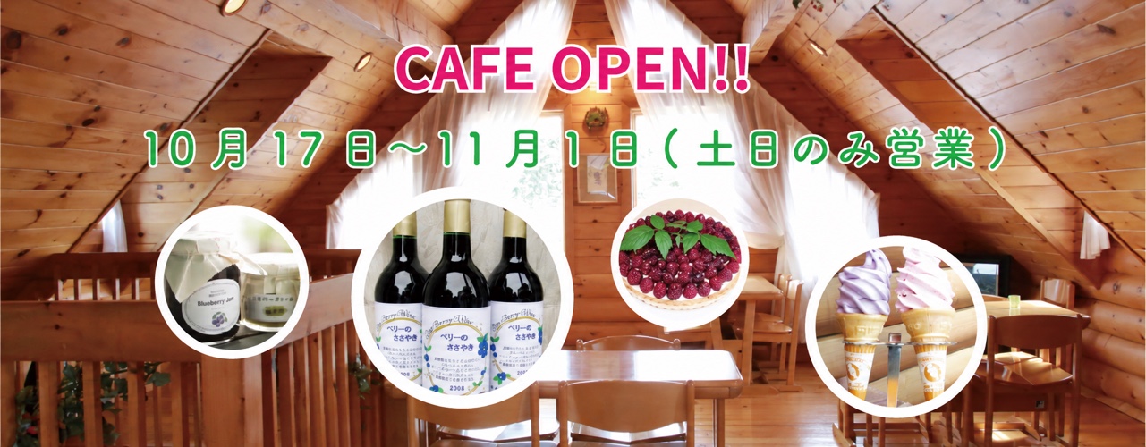 秋のカフェ 10月17日〜11月1日 土日のみ営業