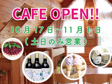 秋のカフェ 10月17日〜11月1日 土日のみ営業