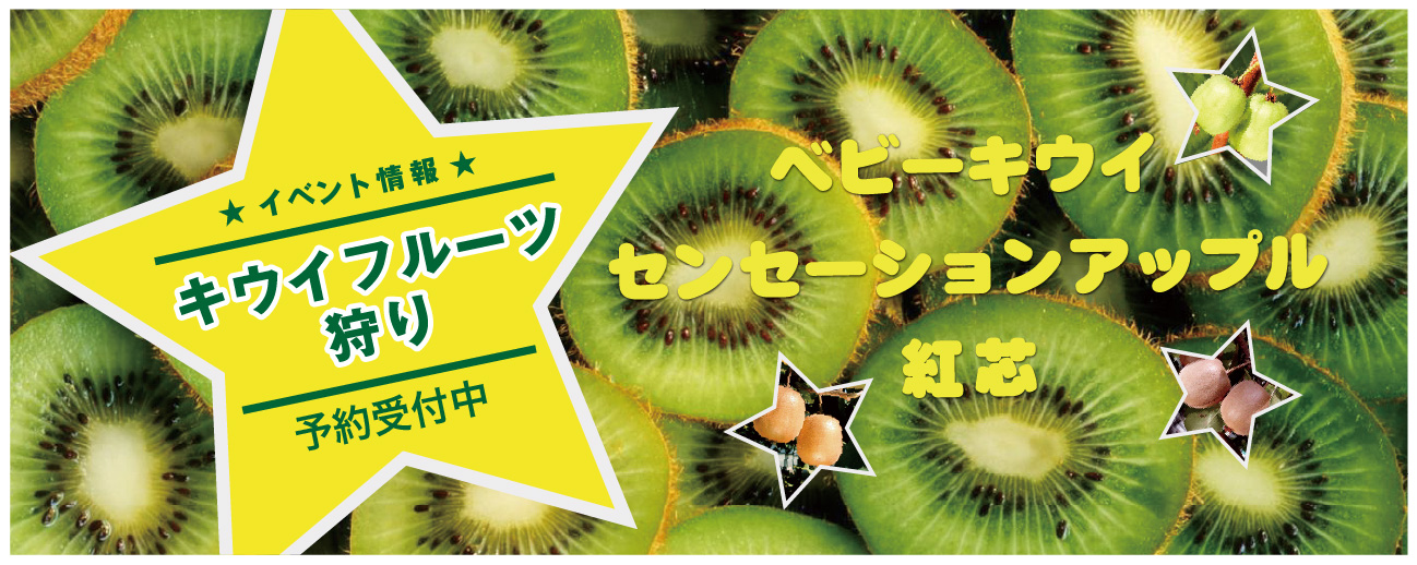 キウイフルーツ狩り10/17~11/1 予約受付中