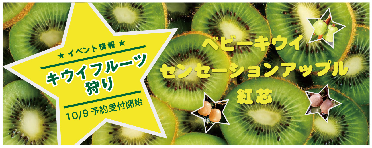 キウイフルーツ狩り10/17~11/1 予約受付開始